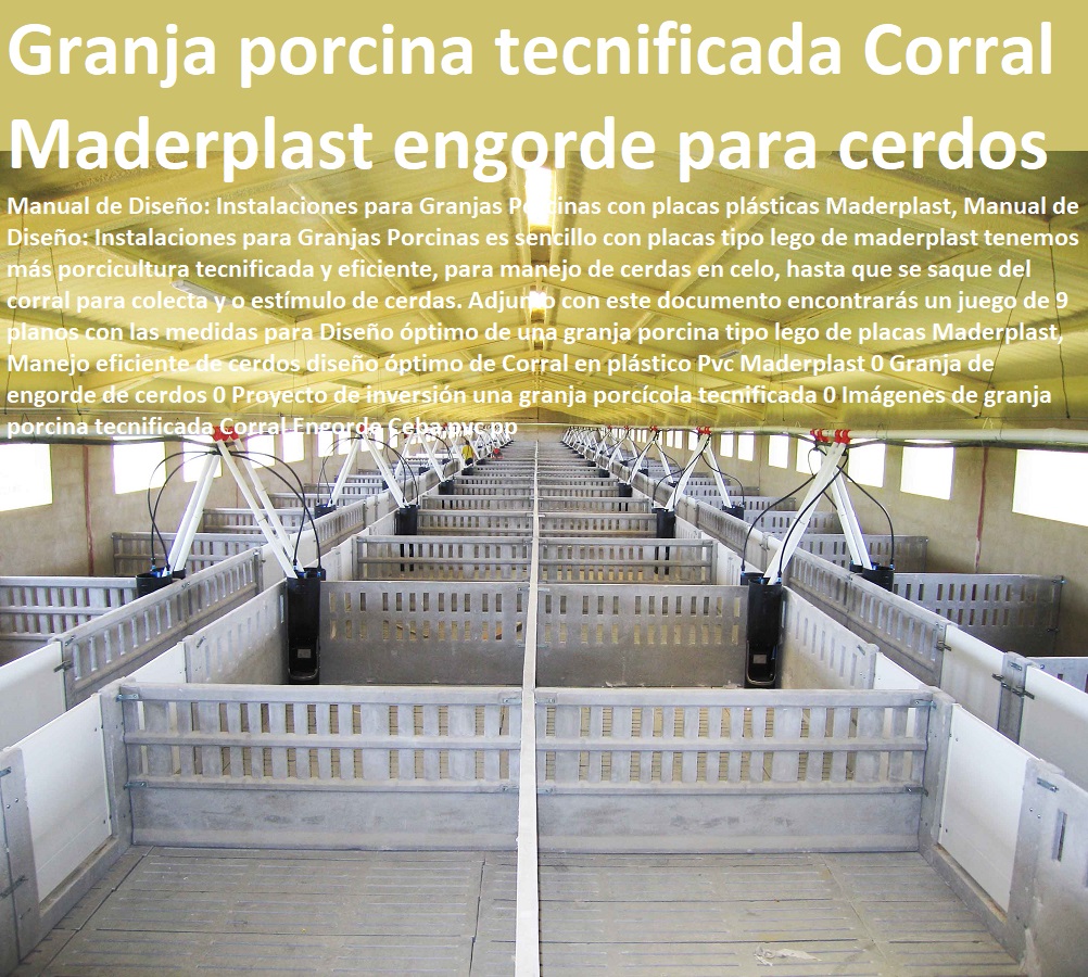 Manejo eficiente de cerdos diseño óptimo de Corral en plástico Pvc Maderplast 0 Granja de engorde de cerdos 0 Proyecto de inversión una granja porcícola tecnificada 0 Imágenes de granja porcina tecnificada como criar marranos, cómo criar cerdos técnicas modernas, manual para criar cerdos, como hacer un criadero de cerdos, cría de cerdos rentabilidad técnicamente, como engordar cerdos con maíz tecnificado, instalaciones para cría de cerdos, Corral Engorde Ceba pvc pp Manejo eficiente de cerdos diseño óptimo de Corral en plástico Pvc Maderplast 0 Granja de engorde de cerdos 0 Proyecto de inversión una granja porcícola tecnificada 0 Imágenes de granja porcina tecnificada Corral Engorde Ceba pvc pp